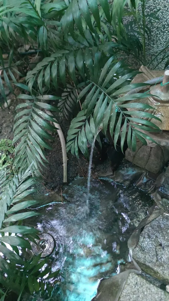 花蓮家中終年不斷的湧泉